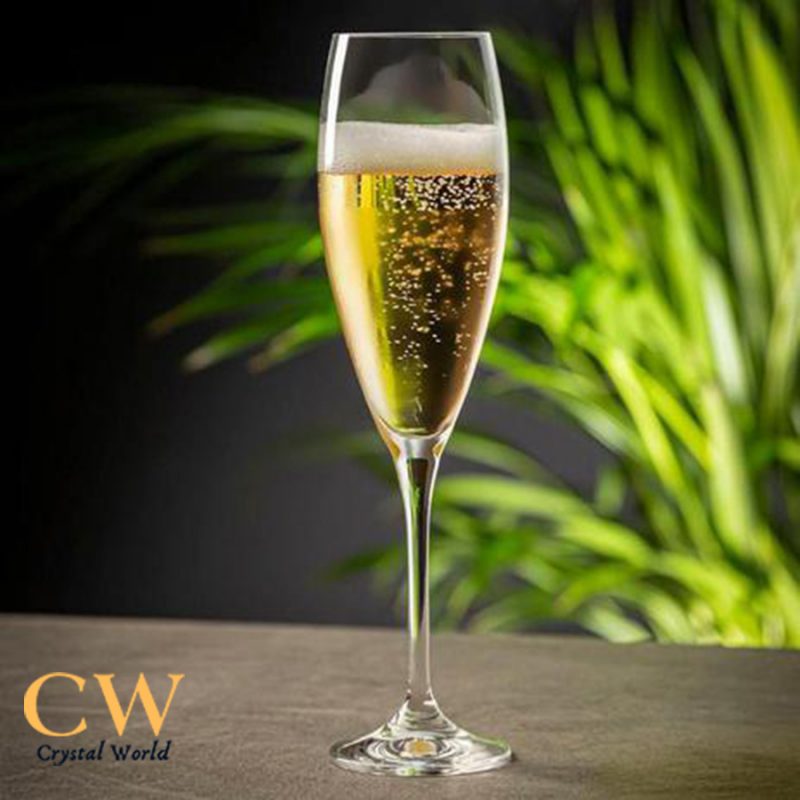 Ly Rượu Champagne Crystalex Lenny  - Không Thể Thiếu Trong Mỗi Tiệc Vui