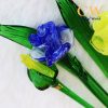 hoa pha le xanh trang